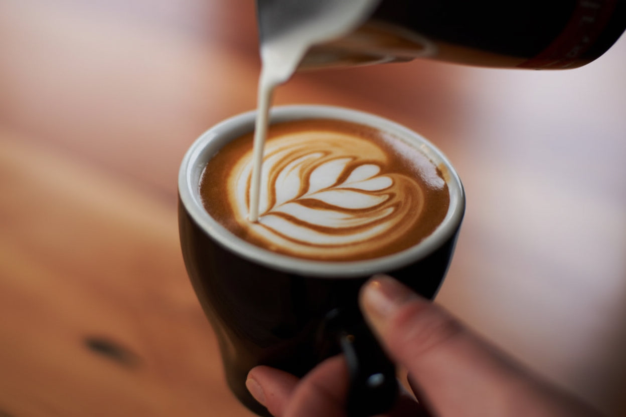 Cuisinox Spouted Cappuccino Frother/Creamer