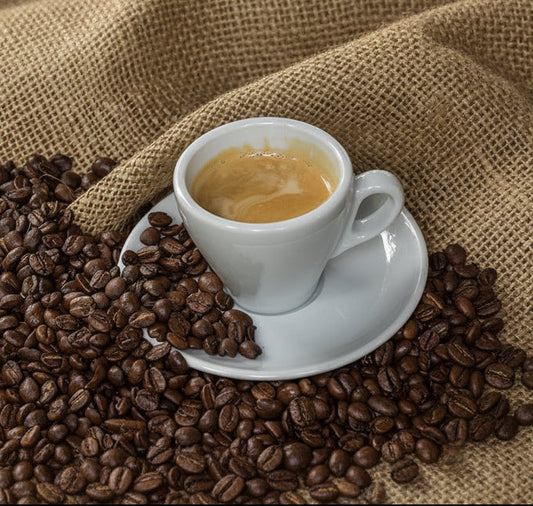 Cuisinox Signature Series, juego de 4 tazas de café expreso, porcelana blanca